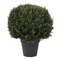 Nature Spring Nature Spring 23-Inch Faux Cypress Topiary Ball 884758UZW - alternate 1